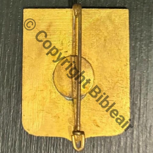 SANATORIUM ALTITUDE SAINT BLASIEN ALSACE  Peint  SM Bol Dos lisse irreg griffe Src.atlanty.d 35EurInv 